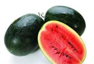 专业吃瓜2687,瓜界风云录