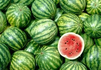 深圳lc club吃瓜,揭秘网红打卡地的吃瓜趣事