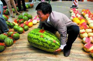 深圳lc club吃瓜,揭秘网红打卡地的吃瓜趣事