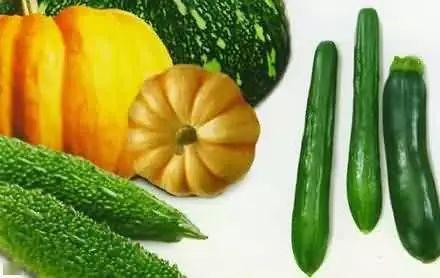 吃瓜直播缅北吃瓜,直播带你亲历“吃瓜”现场