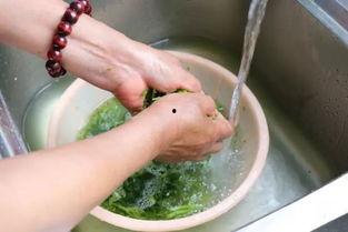 除湿吃三瓜好,三瓜助力健康生活