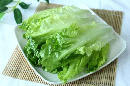 茭瓜和生菜可以一起吃吗,营养互补的美食组合