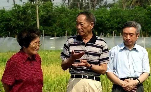 机关单位吃瓜,揭秘职场八卦背后的真相