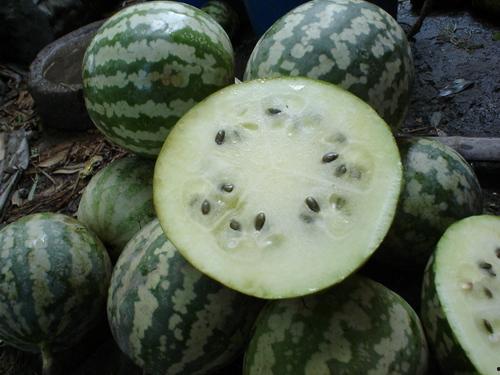 吃绿宝瓜的好处,营养丰富的健康之选，揭秘其四大益处”