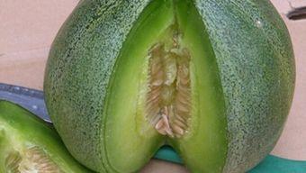 吃绿宝瓜的好处,营养丰富的健康之选，揭秘其四大益处”