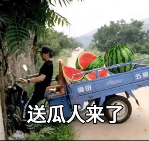 吃瓜新前线,揭秘娱乐圈最新热点事件