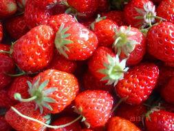 吃瓜草莓,揭秘吃瓜草莓的甜蜜诱惑