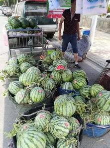 保定东湖吃瓜事件,一场网络热议背后的真相与反思