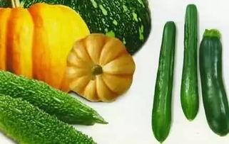 吃瓜闪光灯,吃瓜群众聚焦闪光灯下的娱乐圈风云