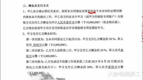 吃瓜合同书,揭秘娱乐圈的“瓜田”规则与秘密协议