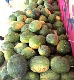 大园吃瓜视角,揭秘娱乐圈幕后风云