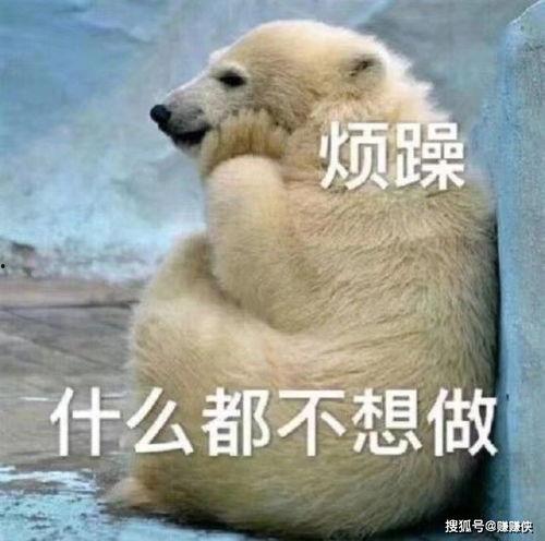 打死吃瓜群众图片,网络暴力下的社会反思