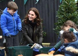 罗恩吃瓜群众日常,揭秘娱乐圈幕后故事